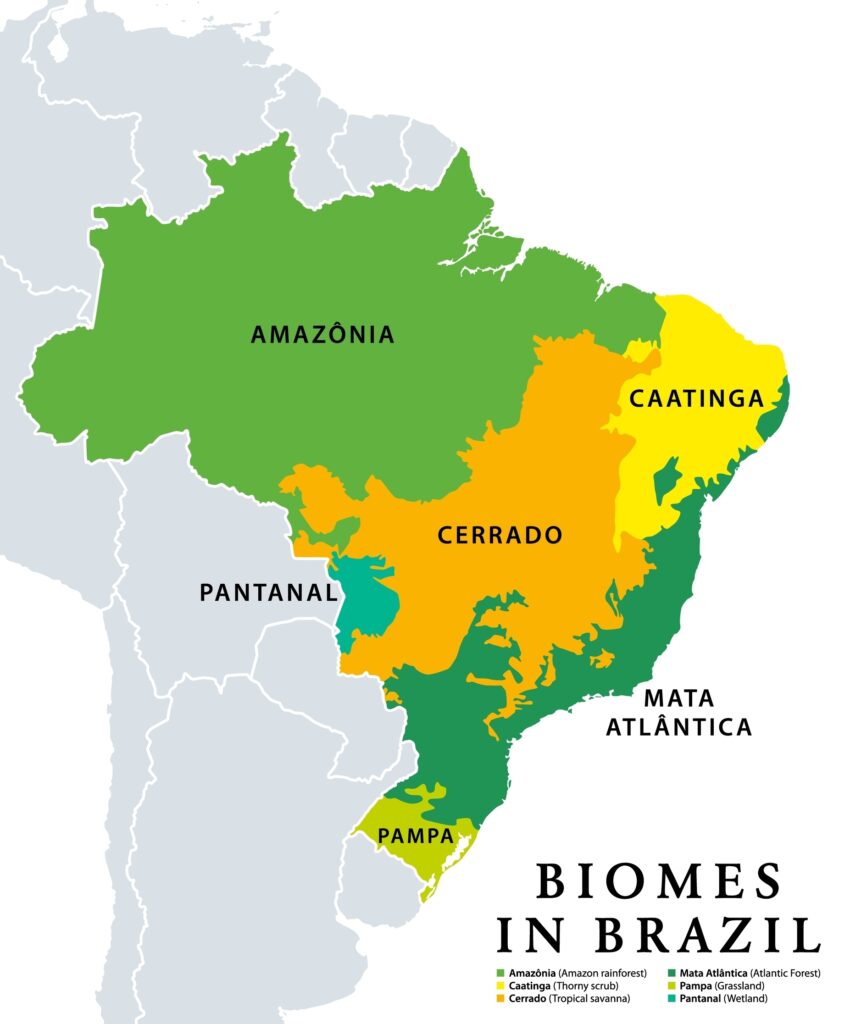 Biomes,In,Brazil,,Map,Of,6,Ecosystems,With,Natural,Vegetation.